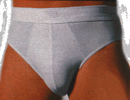hose3.gif (22030 Byte)